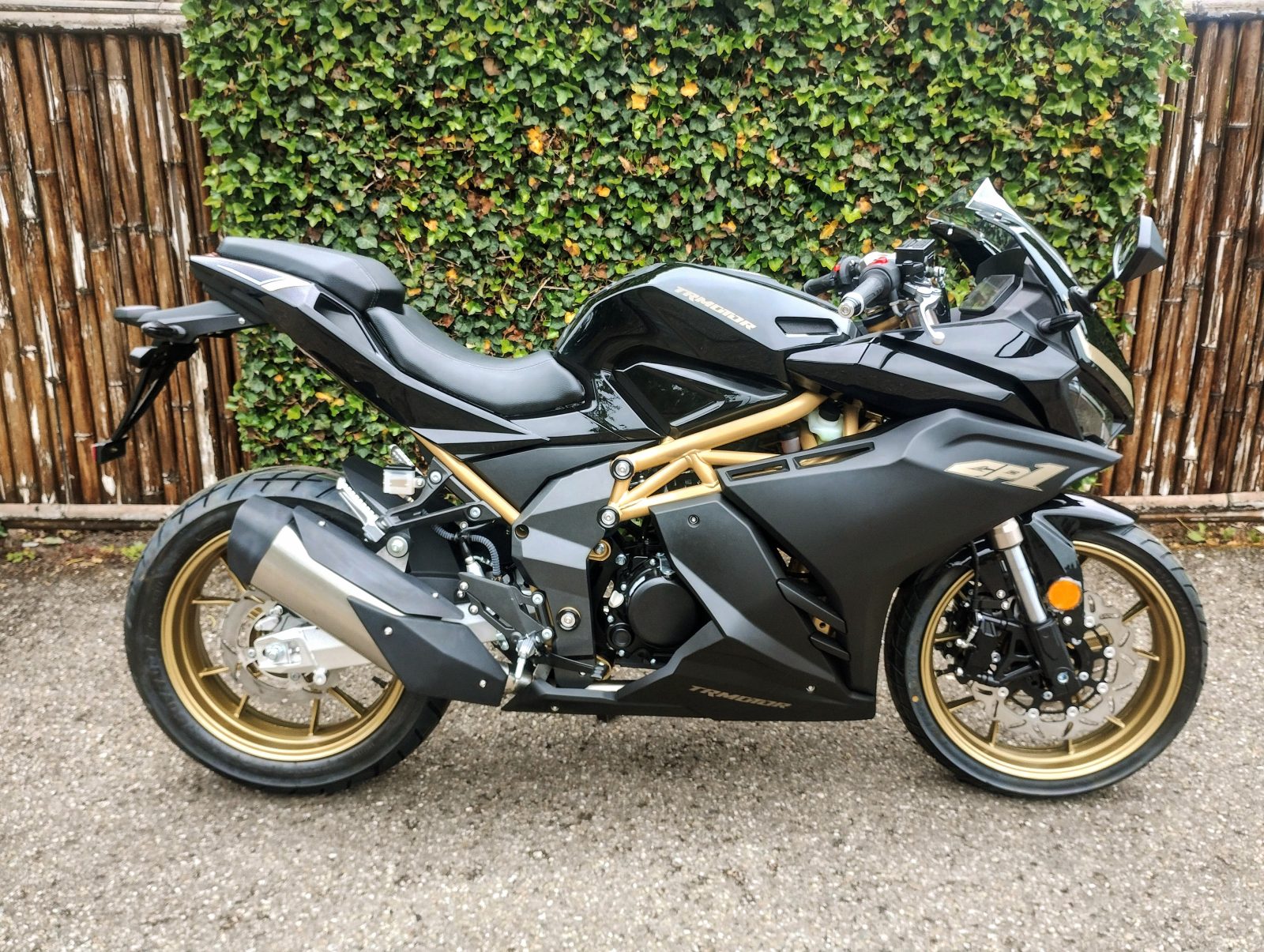 TRMOTOR TR125 GP1 (2026)
