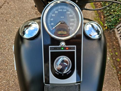 Harley Davidson Fat Boy Low Special FLSTFB 103 (5HD) (2013) foto 19