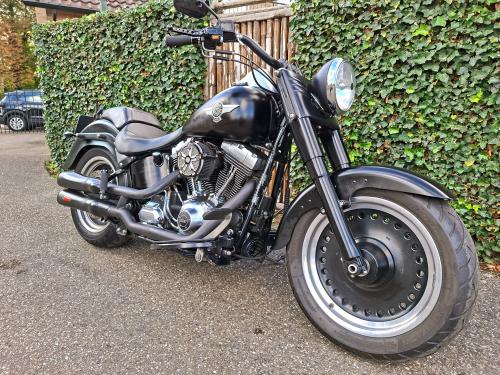 Harley Davidson Fat Boy Low Special FLSTFB 103 (5HD) (2013) foto 2