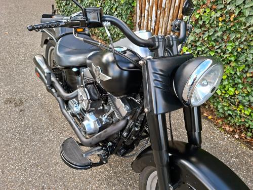 Harley Davidson Fat Boy Low Special FLSTFB 103 (5HD) (2013) foto 5